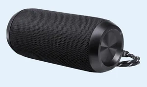 DEFENDER Акустическая система ENJOY S100