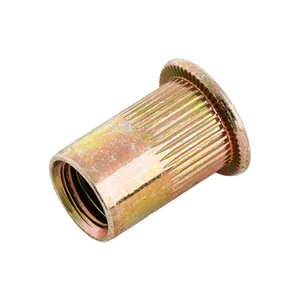 Denzel Заклепки резьбовые М10 40605