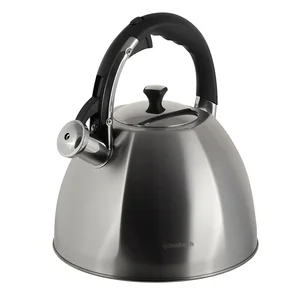 Kamille Чайник 4,5 л. NB 100309