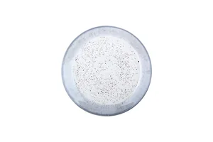 КОРАЛЛ Тарелка десертная 19 см Rustic grey H328-S/P