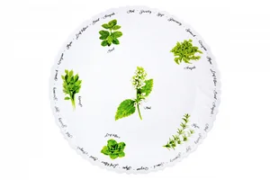 КОРАЛЛ Тарелка обеденная 24см. плоская Verdi LHP-95-7304