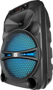 DEFENDER Портативная акустика G110