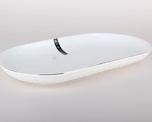 КОРАЛЛ Блюдо овальное Снежная королева 32 см LTBH-P1932TJ-A