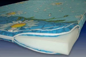 Ярославские Раскладушки Матрас 1900*700*60 (пл. 800 г/м3)