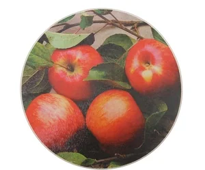 КОРАЛЛ Доска разделочная стеклянная 20 см 1159