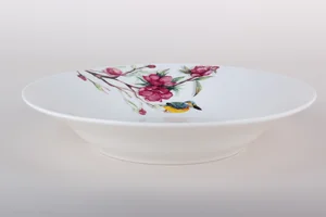 КОРАЛЛ Суповая тарелка «Магнолия» ZX2311-8SP