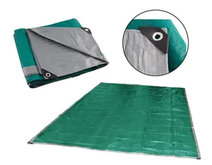 Mallony Тент хозяйственный универсальный T-5*6, размер: 5*6 м, плотность: 100г/м2 999152-SK Ecos