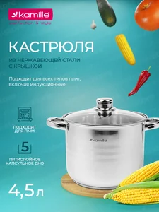 Kamille Кастрюля 4,5 л. из нержавеющей стали KM 5401 со стеклянной крышкой