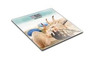 REDMOND Весы напольные электронные RS-733 Пляж