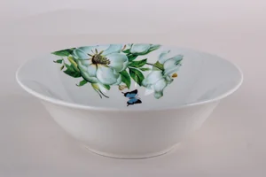 КОРАЛЛ Салатник 550мл/18 см Camellia ZX2433-7B