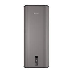 THERMEX Электроводонагреватель Liga 100 v (pro) (сух. нерж.)