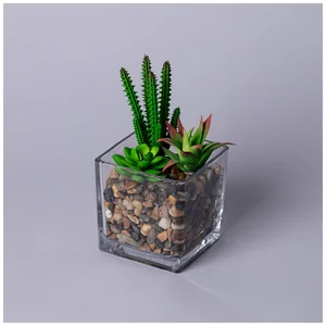 Lefard Суккулент Искусственный В Прозрачном Горшке 11*17см 535-401