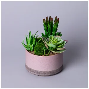 Lefard Суккулент Искусственный В Горшке 16*17см. 535-402