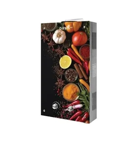 OASIS Газовая колонка Eco 24 О