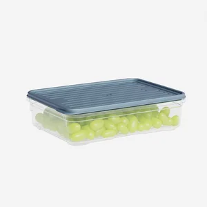 DD STYLE Лоток с крышкой 1100 мл. 920