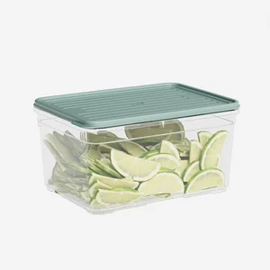 DD STYLE Лоток с крышкой 2100 мл. 922