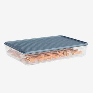 DD STYLE Лоток с крышкой 2200 мл. 930