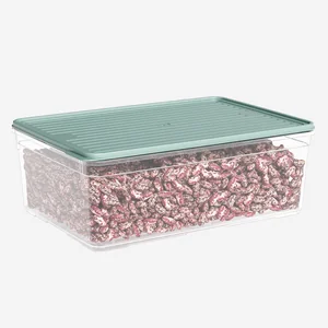 DD STYLE Лоток с крышкой 4300 мл. 932