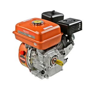 Sturm Двигатели для бензо-техники GE168-19Q