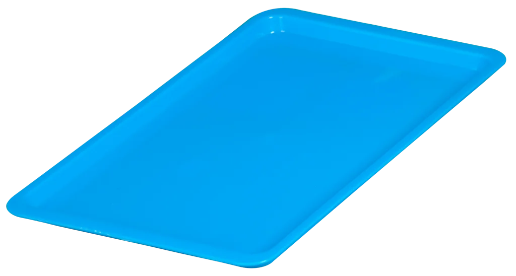 АР ПЛАСТ Поднос 43*25 см малый 16016 голубой