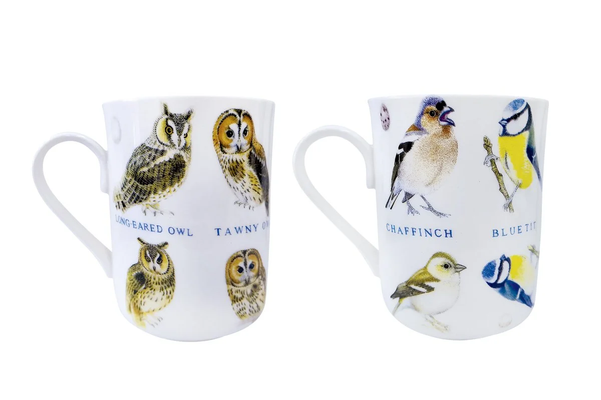 КОРАЛЛ Кружка 310мл. Wild birds YQ20501-4 микс