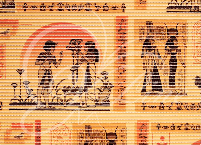 VILINA Коврик напольный из вспененного ПВХ 0,65 х 15 м 67160 принт V2