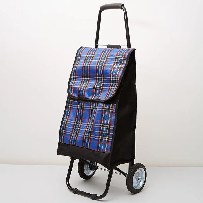 DELTA Тележка багажная ручная 50 кг DT 23 черная с синим