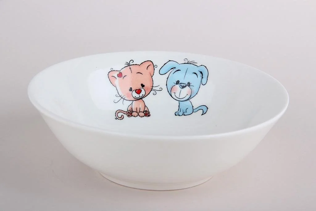 КОРАЛЛ Салатник 350мл/15см Друзья YXD02/350