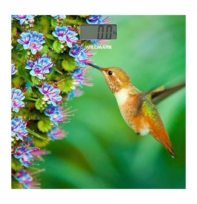 WILLMARK Весы напольные электронные WBS-1811D колибри