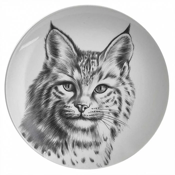 ДФЗ Тарелка мелкая 200 мм Универсал Рысь 0С2146