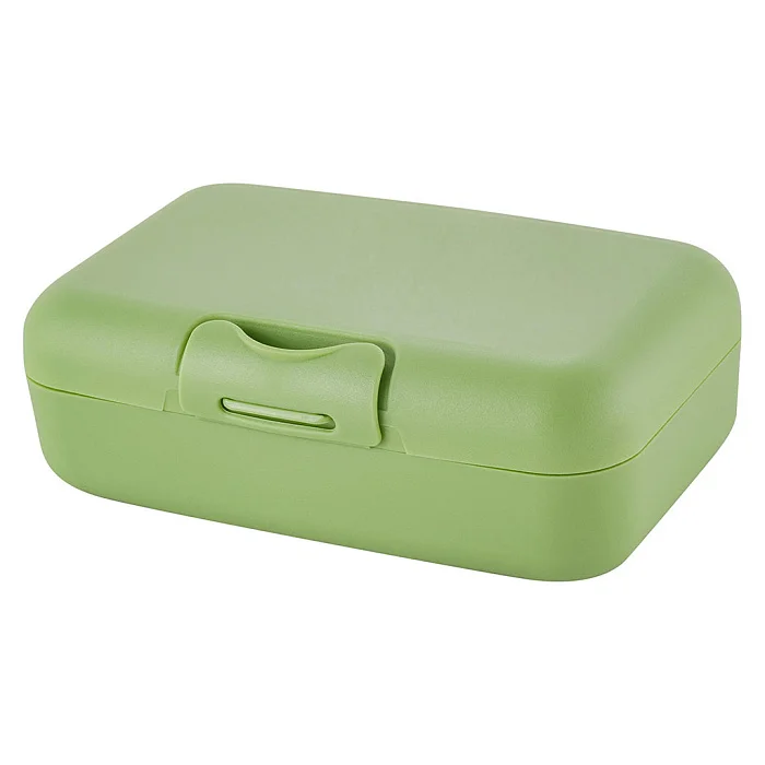 DELTA Ланч-бокс Sugar&Spice Honey 0,7 л SE112410050 фисташка